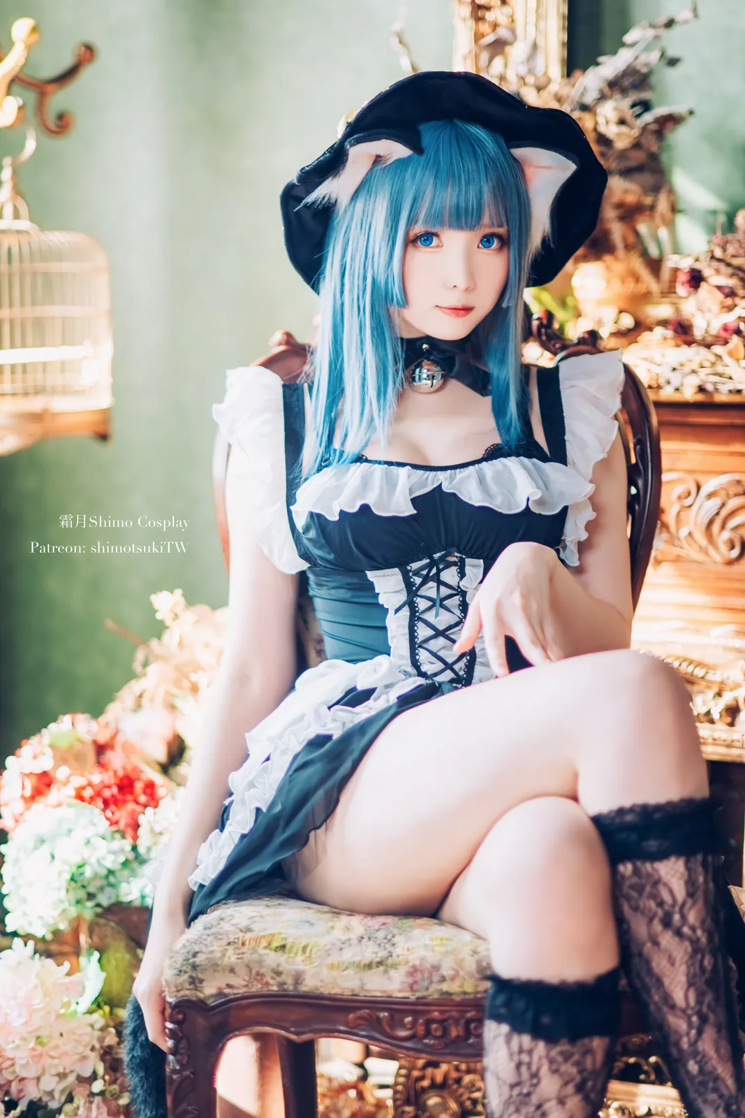 霜月shimo - Original Cat Witch [14P-293MB]
