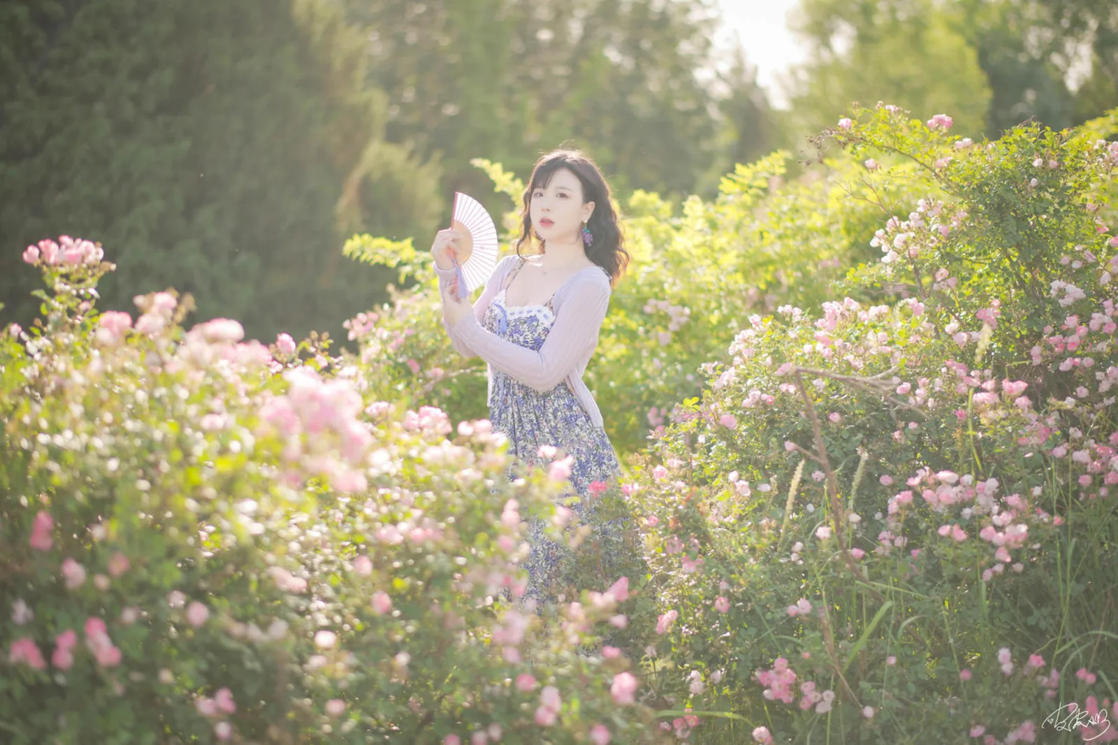 皮皮奶可可爱了啦 - 蔷薇花 [37P-345MB]