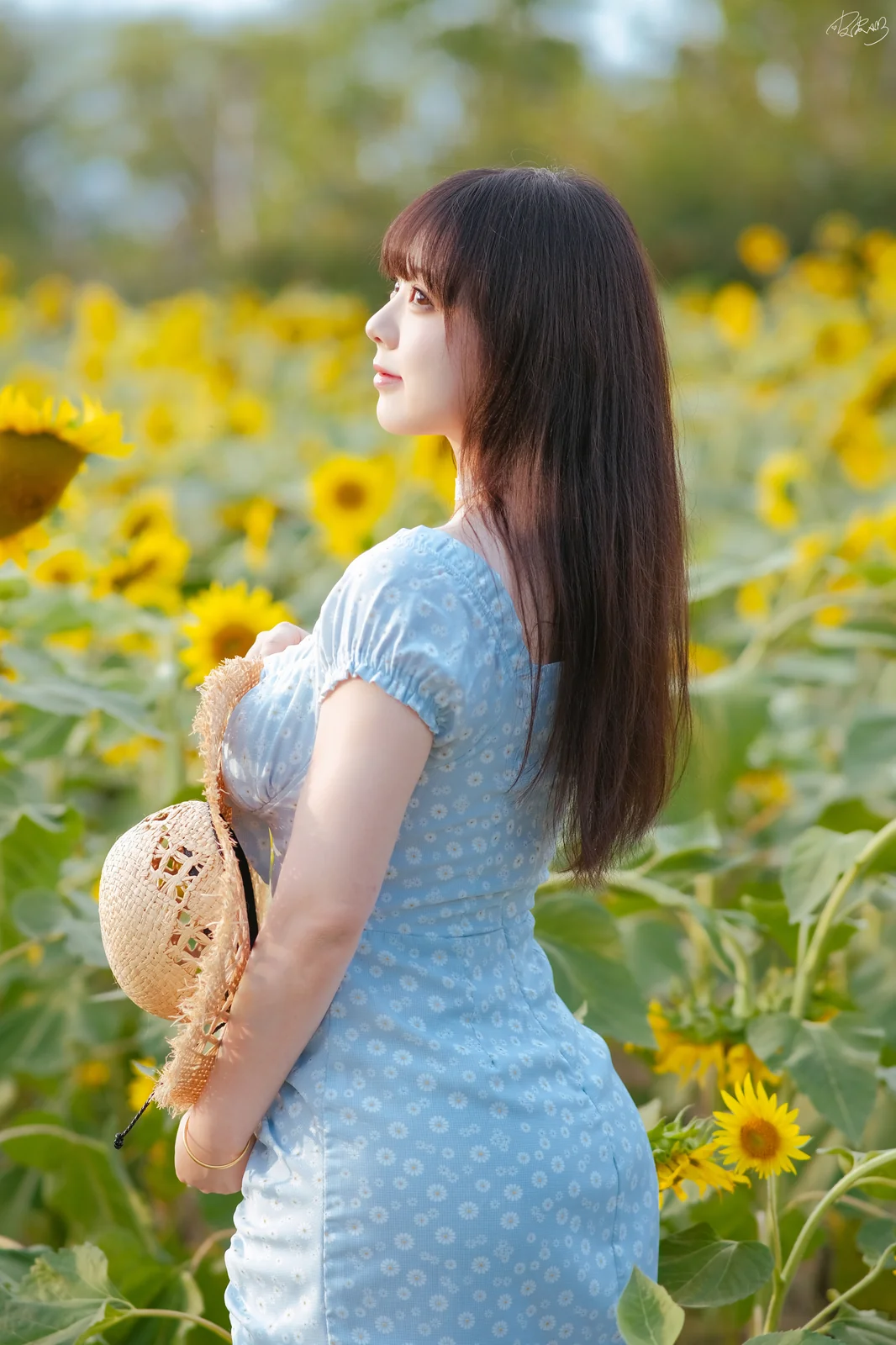 皮皮奶可可爱了啦 - 彼女向日葵 [35P-326MB]