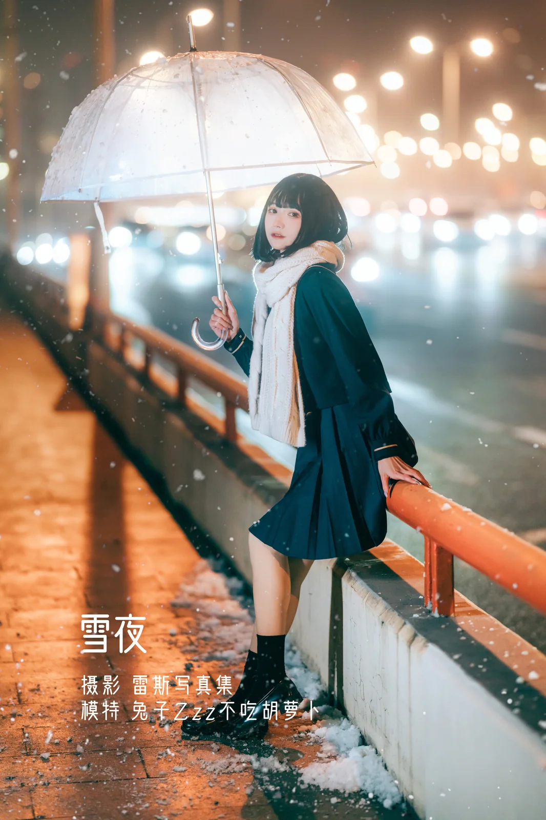 兔子Zzz不吃胡萝卜 – 雪夜 [22P-362MB]