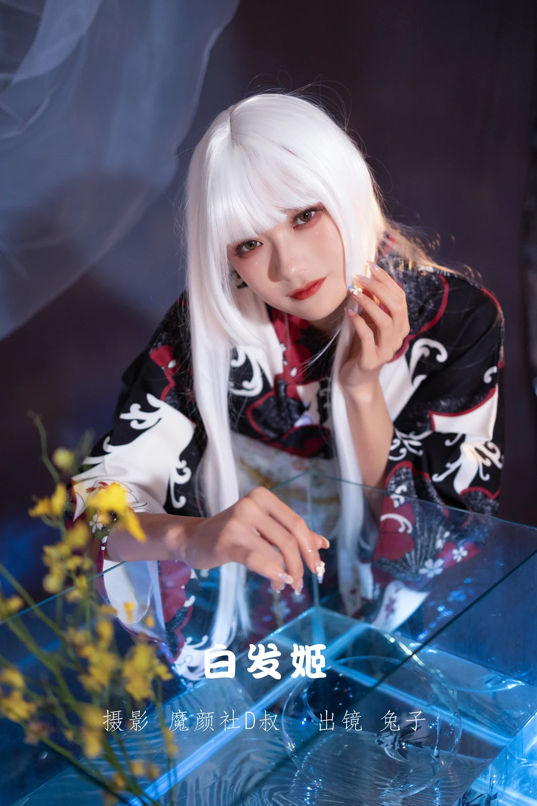 兔子Zzz不吃胡萝卜 – 白发姬 [42P-375MB]