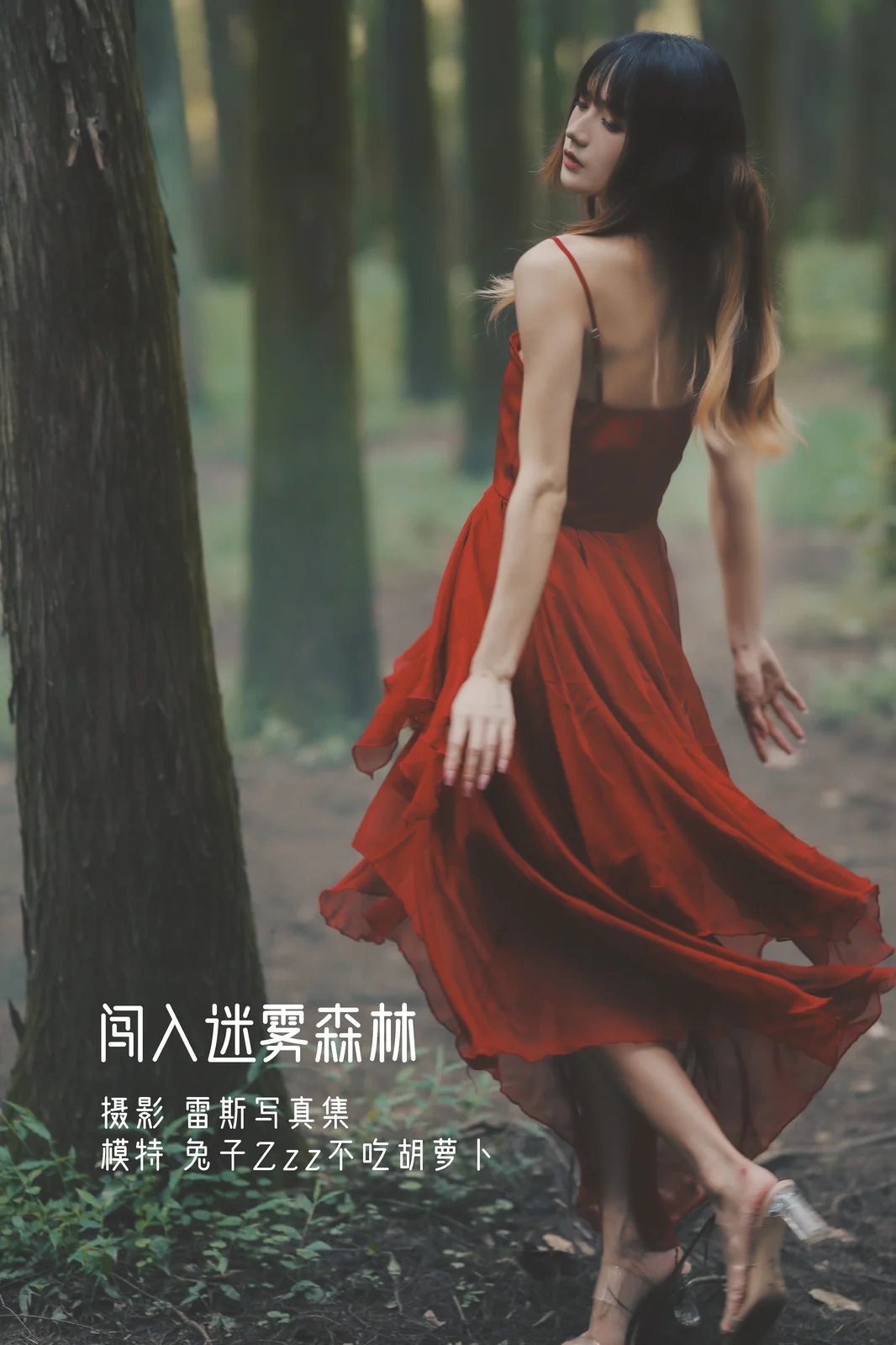 兔子Zzz不吃胡萝卜 – 闯入迷雾森林 [25P-162MB]