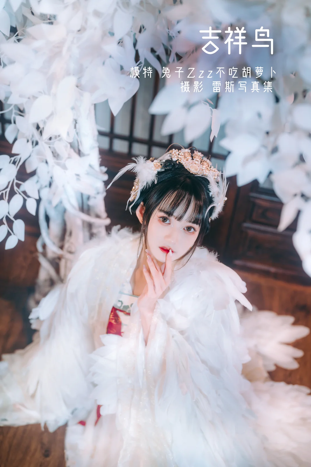 兔子Zzz不吃胡萝卜 - 吉祥鸟 [20P-164MB]