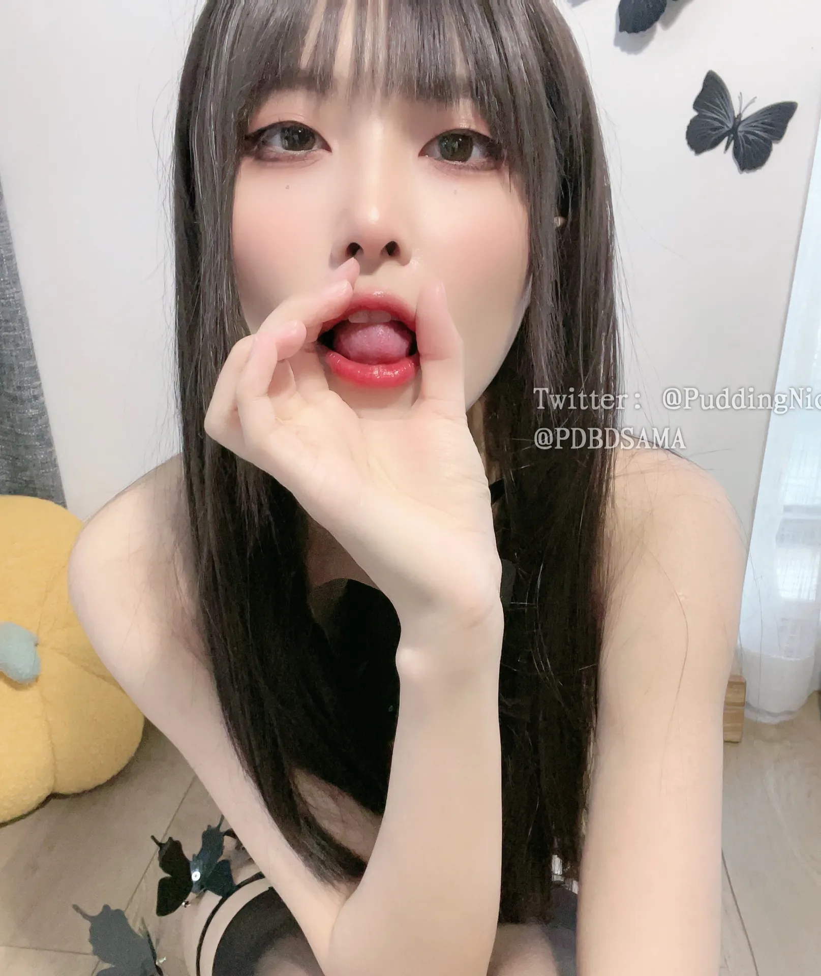 布丁大法 - 黑蝶 [50P3V-1.23GB]