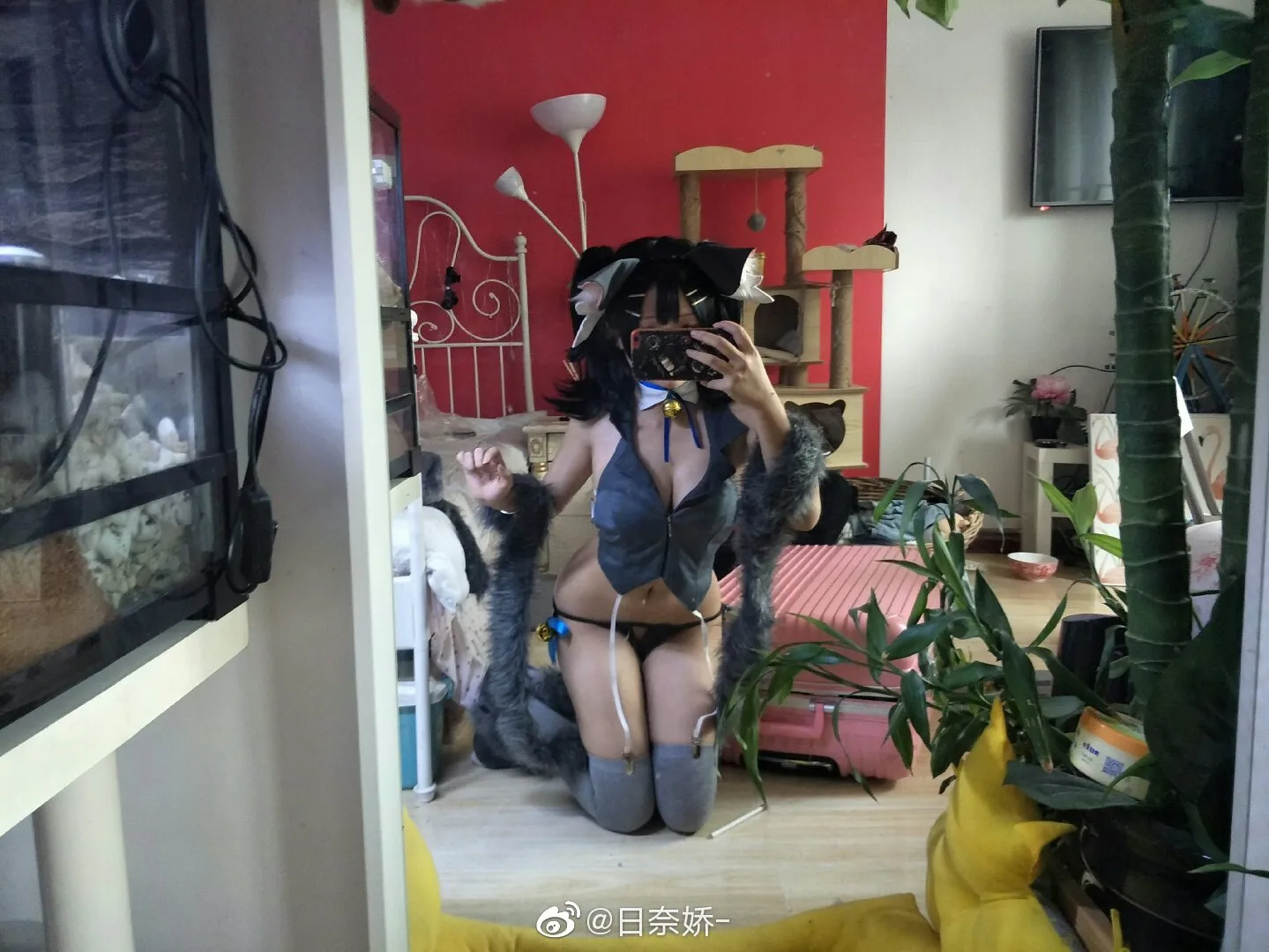 日奈娇 - 微博 散图 [359P-3.34GB]