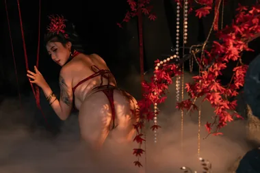 奈汐酱nice – 流丹 [85P-2.45GB]